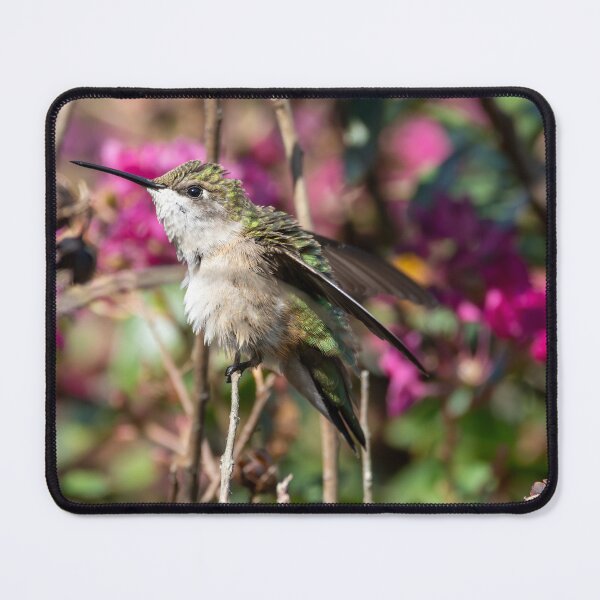 Item preview, The Ruby-Throated Hummingbird in the Crepe Myrtle Tree designed and sold by wenzler.
