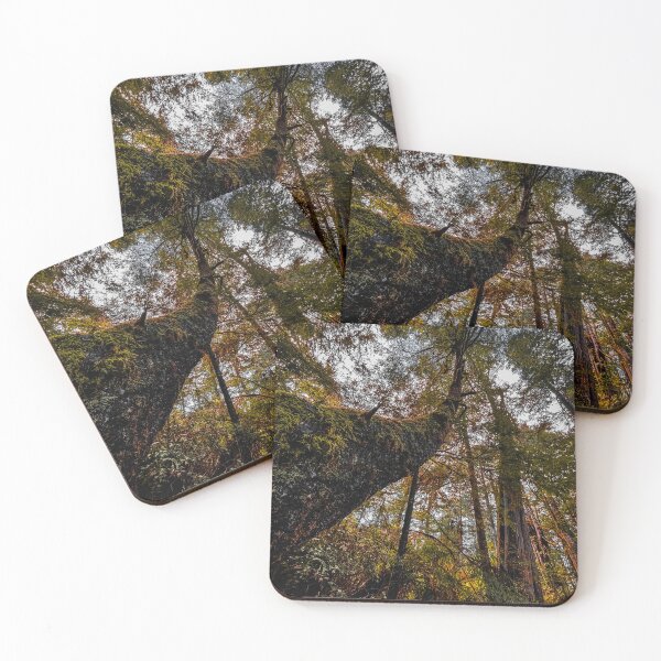 Item preview, Olympic National Park Washington State Trees Postcard designed and sold by BohoButtons.