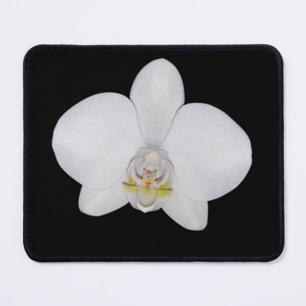 Item preview, The Moth Orchid - Moon Orchid designed and sold by Kourtesy of King.