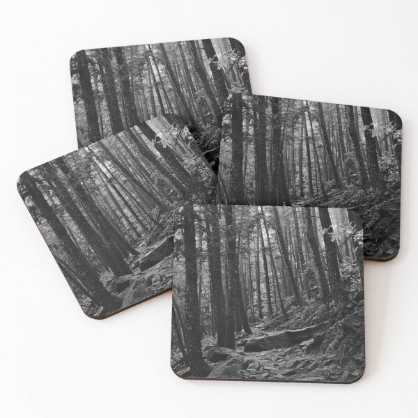 Item preview, Misty forest Decor designed and sold by JWheelPhotos.