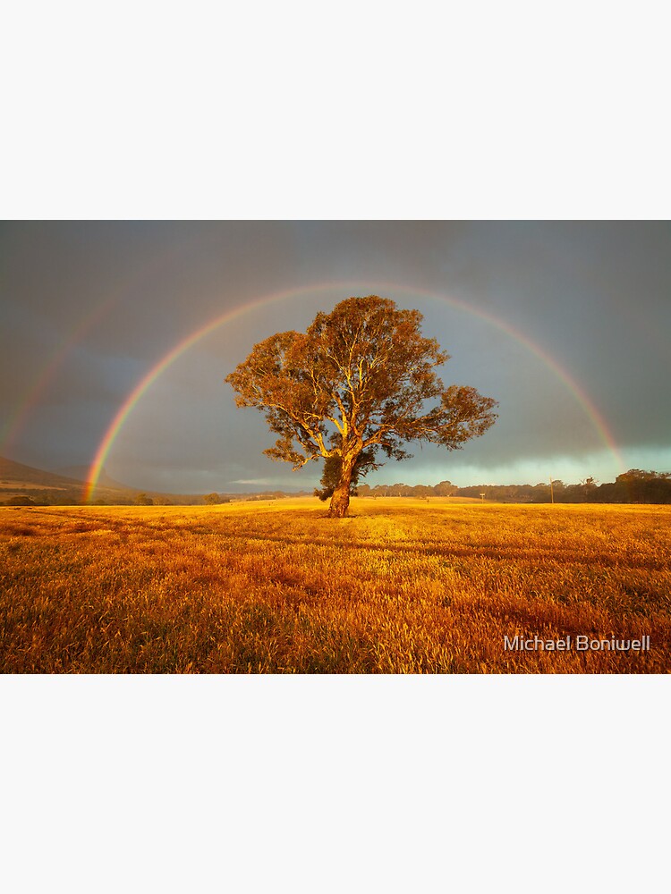 Thumbnail 2 of 2, Art Board Print, After the Rain, Dunkeld, Australia designed and sold by Chockstone.