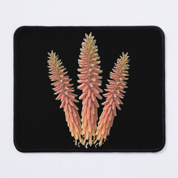 Item preview, Desert Aloe Vera Bloom: Vibrant Arabian Cactus Flowers in Nature designed and sold by love3617.