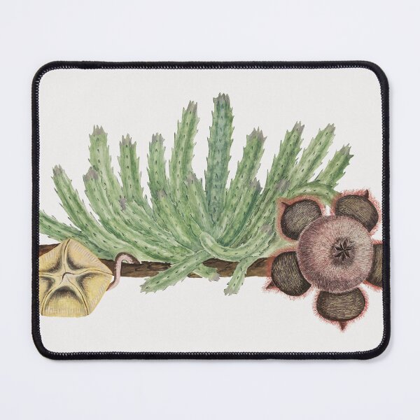 Artikelvorschau, Afrikanische Vegetation Vintage Kunst entworfen und verkauft von Vintage Designs +.
