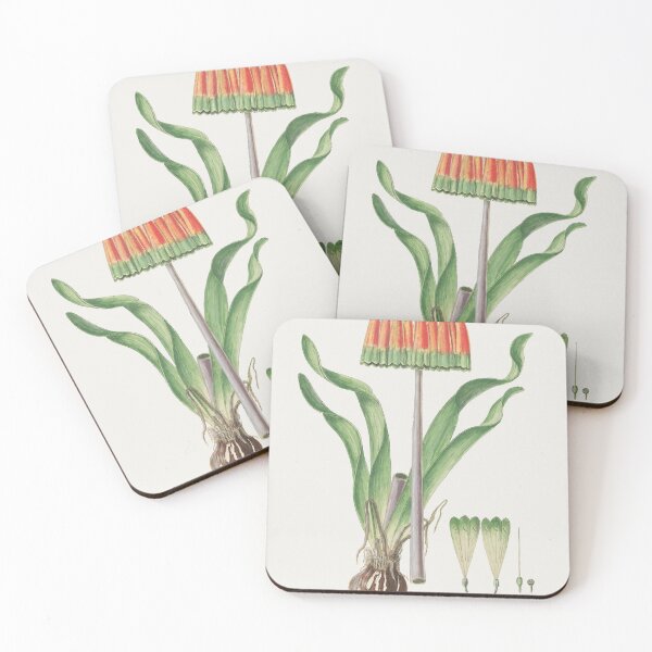 Item preview, African plant vintage art designed and sold by Vintage Designs +.