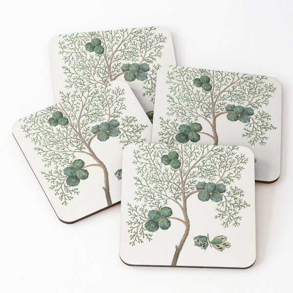 Item preview, African plant vintage art designed and sold by Vintage Designs +.