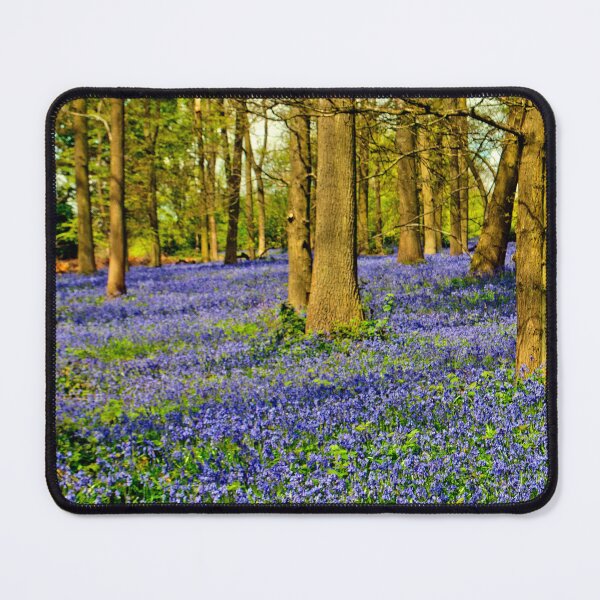 Item preview, Bluebell Woods Spring Flowers Greys Court Oxfordshire designed and sold by AndyEvansPhotos.
