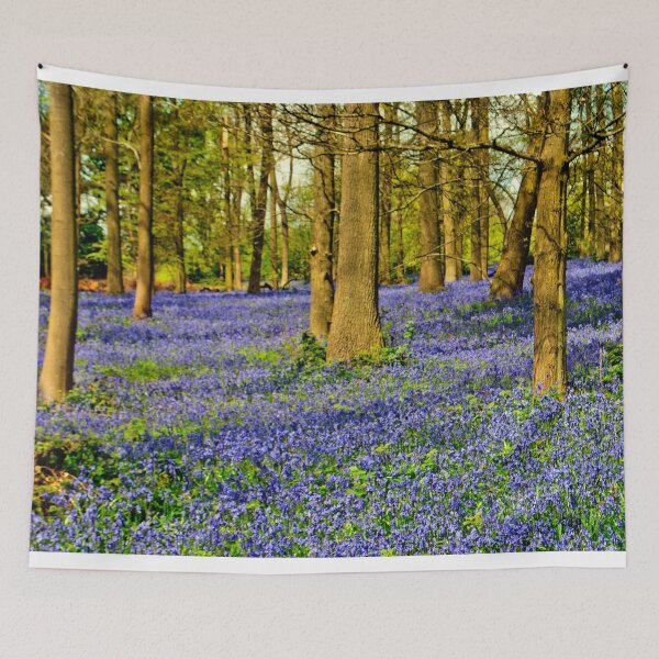 Item preview, Bluebell Woods Spring Flowers Greys Court Oxfordshire designed and sold by AndyEvansPhotos.