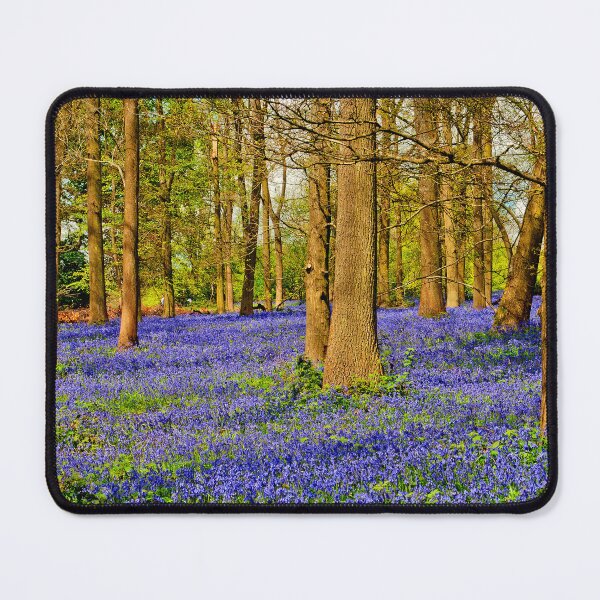 Item preview, Bluebell Woods Spring Flowers Greys Court Oxfordshire designed and sold by AndyEvansPhotos.