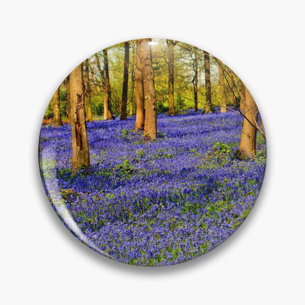 Item preview, Bluebell Woods Spring Flowers Greys Court Oxfordshire designed and sold by AndyEvansPhotos.