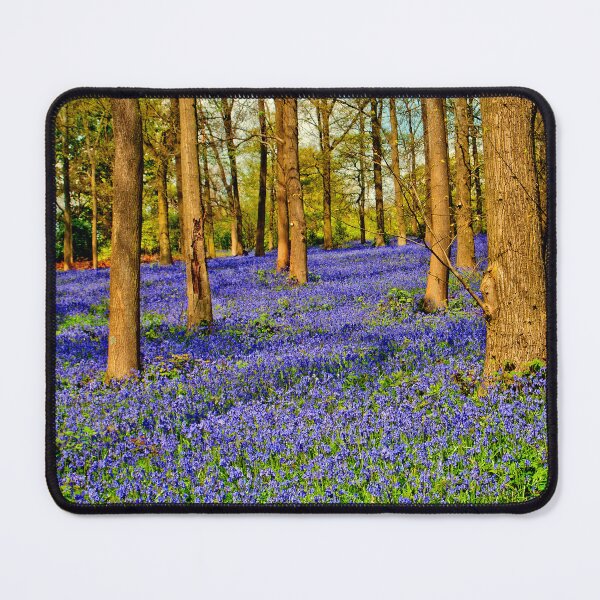 Item preview, Bluebell Woods Spring Flowers Greys Court Oxfordshire designed and sold by AndyEvansPhotos.