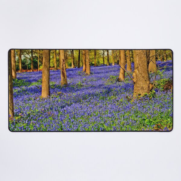 Item preview, Bluebell Woods Spring Flowers Greys Court Oxfordshire designed and sold by AndyEvansPhotos.