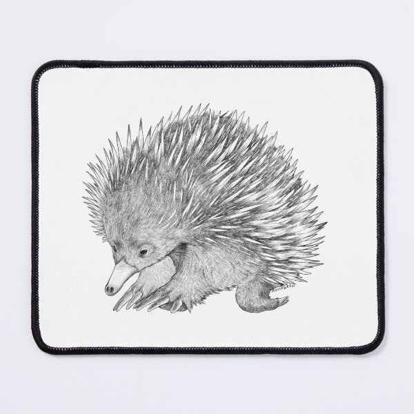 Item preview, Australia Echidna Illustration designed and sold by Mousewren.