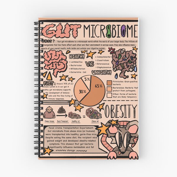 Item preview, Gut Microbiome infographic designed and sold by Itsbackseatart.