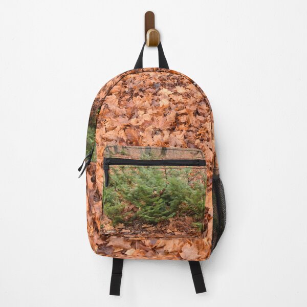 Item preview, A maple grove in the fall designed and sold by Claude Laprise.