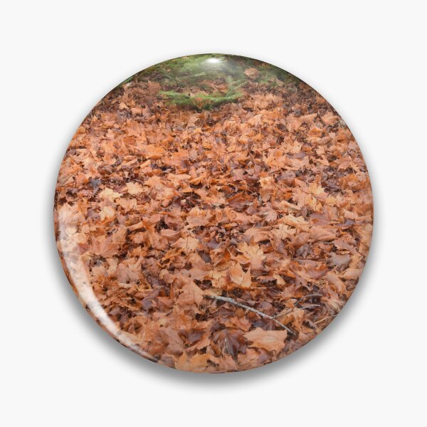Item preview, A maple grove in the fall designed and sold by Claude Laprise.