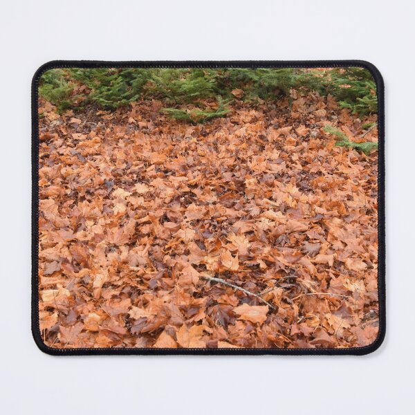 Item preview, A maple grove in the fall designed and sold by Claude Laprise.
