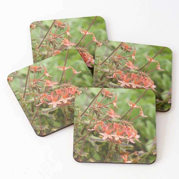 Item preview, Orange Pelargonium designed and sold by Claire L Page Photography.