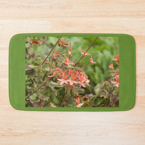 Item preview, Orange Pelargonium designed and sold by Claire L Page Photography.