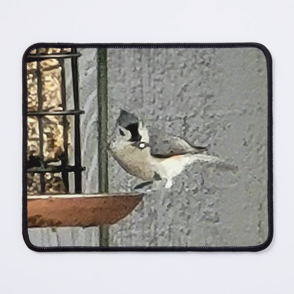 Item preview, Tufted titmouse designed and sold by Larrysphotos.