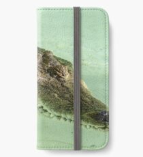 Gator by Unknown iPhone Wallet/Case/Skin