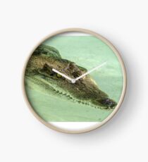 Gator by Unknown Clock