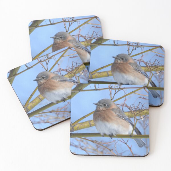 Item preview, Eastern Bluebird in Tree designed and sold by priesterjen.