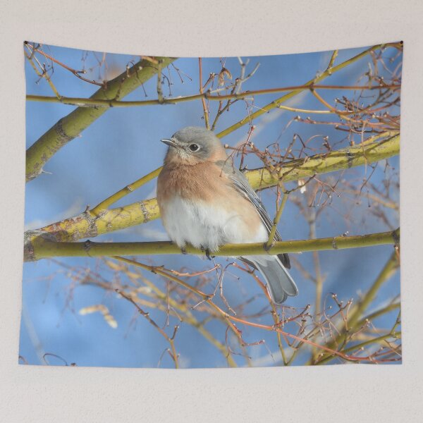 Item preview, Eastern Bluebird in Tree designed and sold by priesterjen.