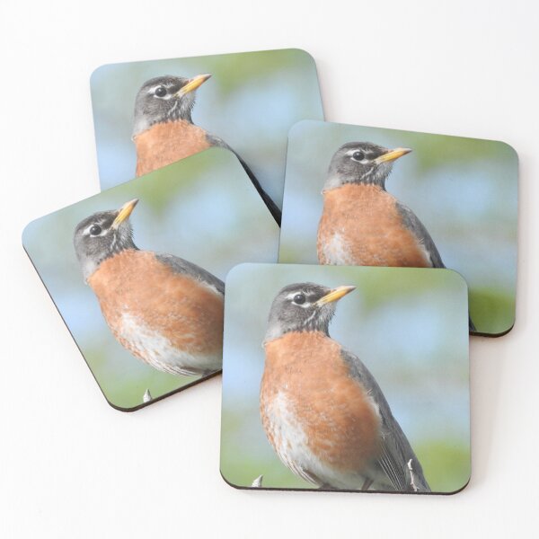 Item preview, American Robin designed and sold by priesterjen.