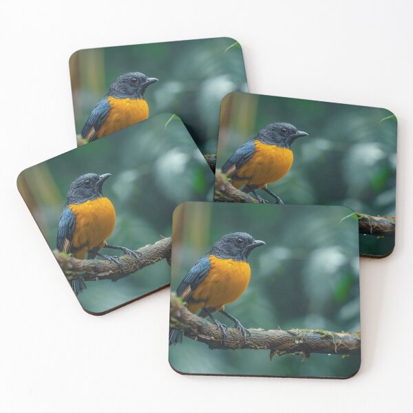 Item preview, Rainforest - Trogon designed and sold by KootenayDesigns.