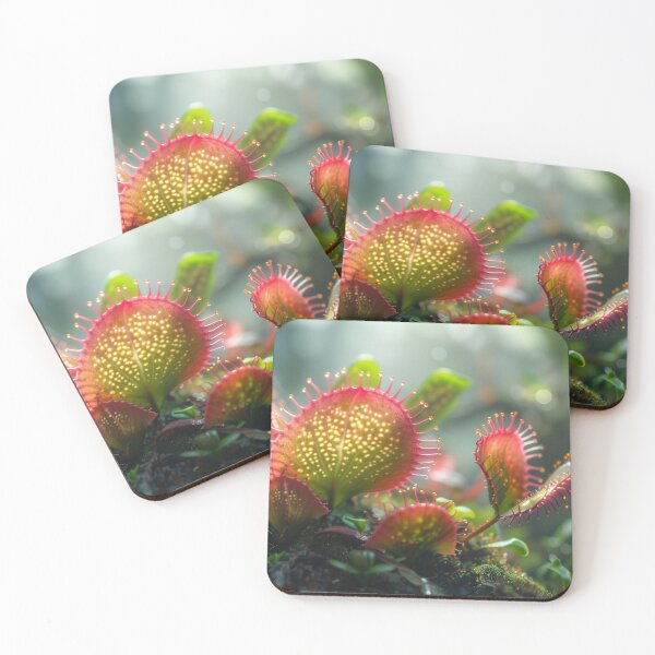 Item preview, Rainforest - Venus Fly Traps designed and sold by KootenayDesigns.