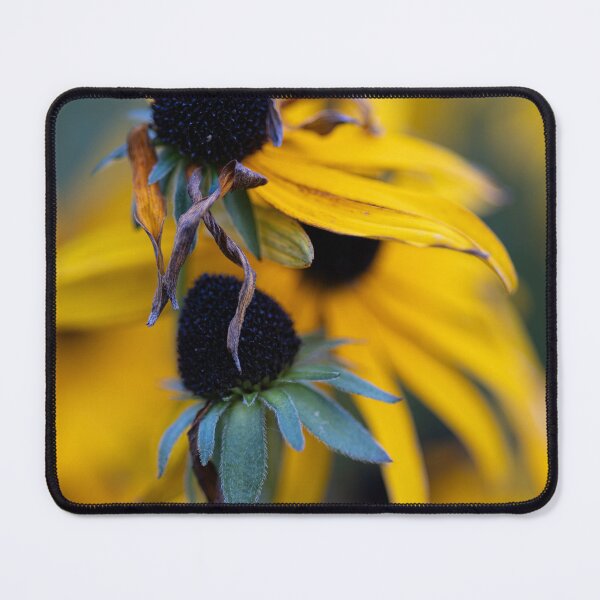 Item preview, Black-eyed Susan designed and sold by Calidris Fotografie Steffi & Ben Köppler.