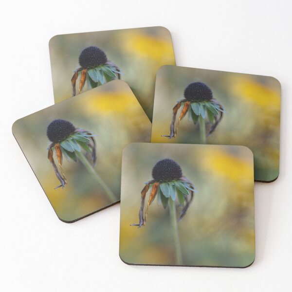Item preview, Black-eyed Susan designed and sold by Calidris Fotografie Steffi & Ben Köppler.