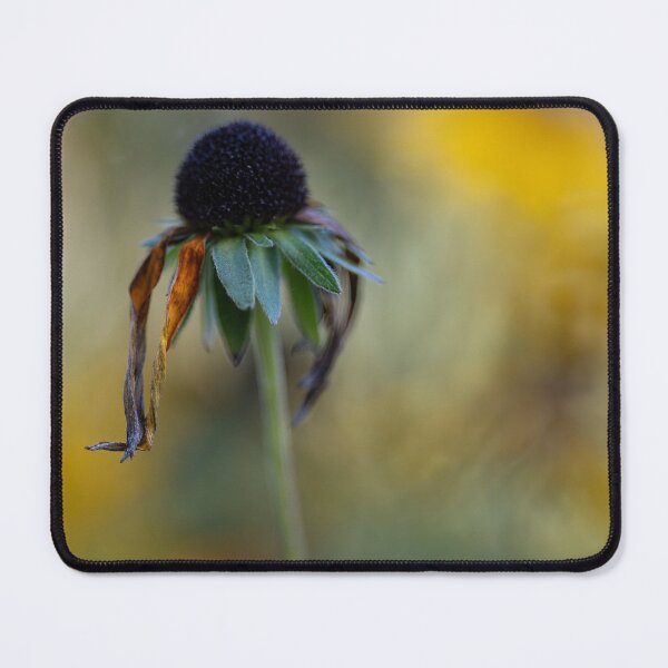 Item preview, Black-eyed Susan designed and sold by Calidris Fotografie Steffi & Ben Köppler.