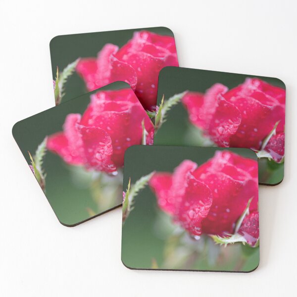 Item preview, Rose designed and sold by Calidris Fotografie Steffi & Ben Köppler.