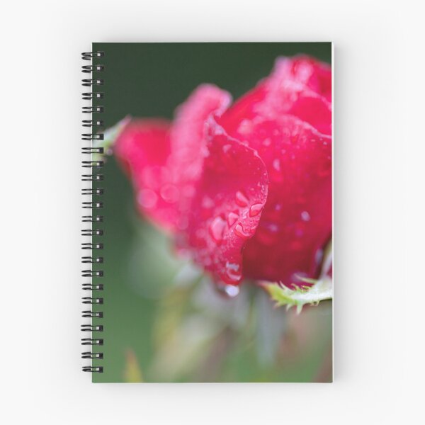 Item preview, Rose designed and sold by Calidris Fotografie Steffi & Ben Köppler.