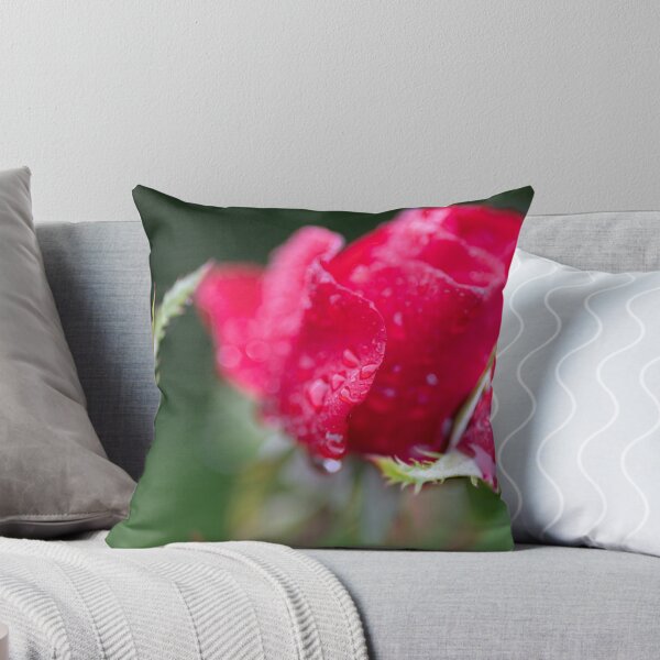 Item preview, Rose designed and sold by Calidris Fotografie Steffi & Ben Köppler.