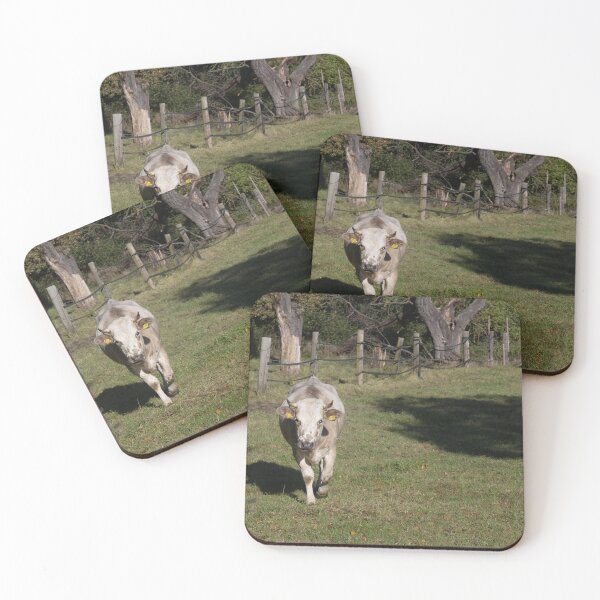 Item preview, Cow designed and sold by Calidris Fotografie Steffi & Ben Köppler.