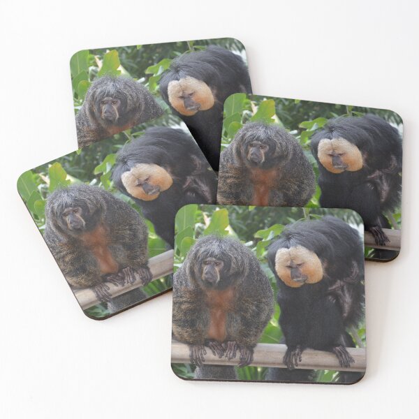 Item preview, Female & Male Saki Monkeys designed and sold by Savannah Gibbs.