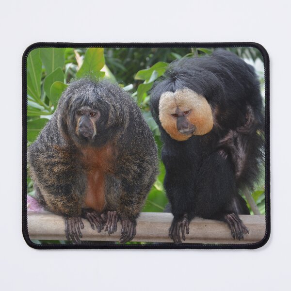 Item preview, Female & Male Saki Monkeys designed and sold by Savannah Gibbs.