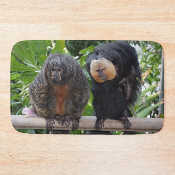 Item preview, Female & Male Saki Monkeys designed and sold by Savannah Gibbs.