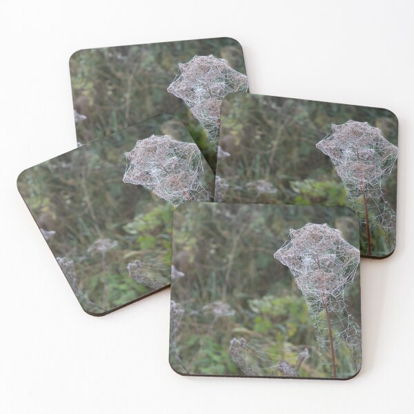 Item preview, Frozen Spider Webs designed and sold by Calidris Fotografie Steffi & Ben Köppler.
