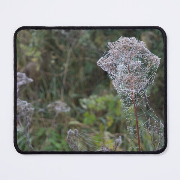 Item preview, Frozen Spider Webs designed and sold by Calidris Fotografie Steffi & Ben Köppler.