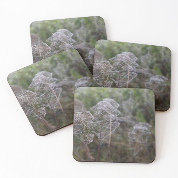 Item preview, Frozen Spider Webs designed and sold by Calidris Fotografie Steffi & Ben Köppler.