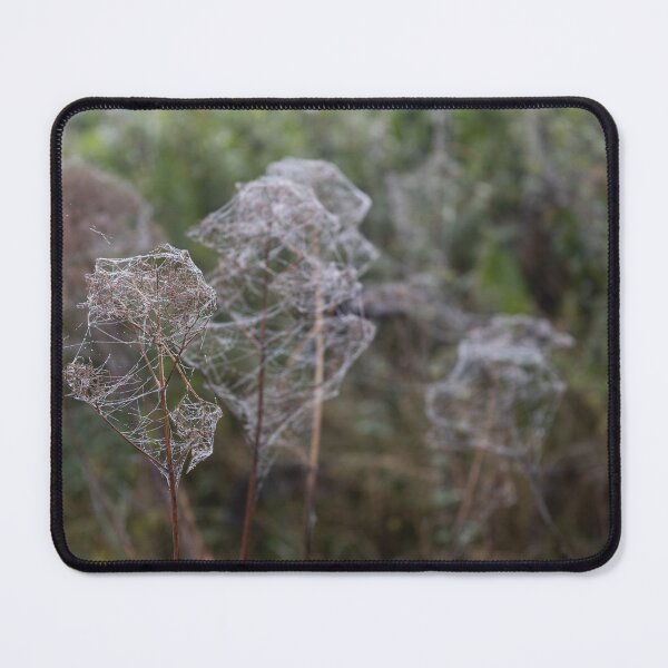 Item preview, Frozen Spider Webs designed and sold by Calidris Fotografie Steffi & Ben Köppler.