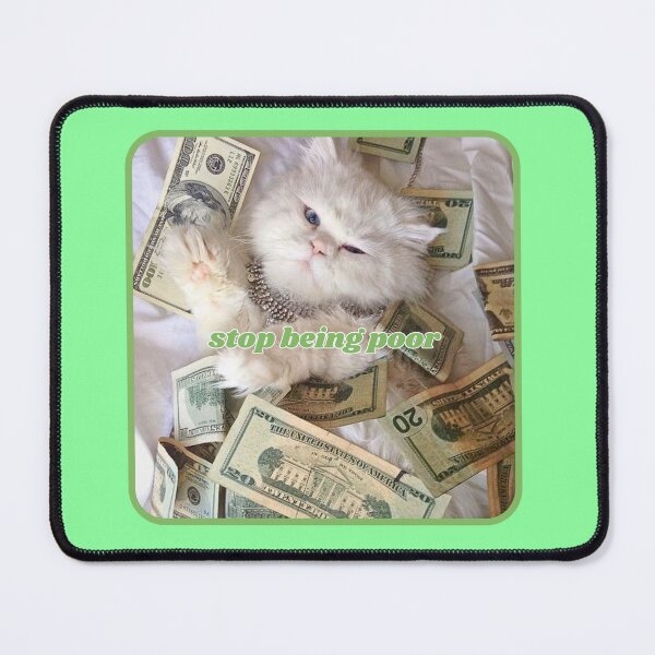 Item preview, Stop being poor, white cat with dollar bills designed and sold by Eternity Eventually.