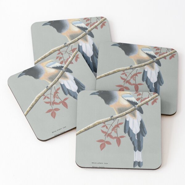 Item preview, A Rufous treepie bird perched on a branch designed and sold by BrianEydenArt.