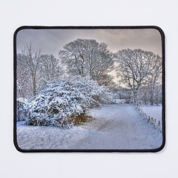 Item preview, Snowy Path designed and sold by tomg.