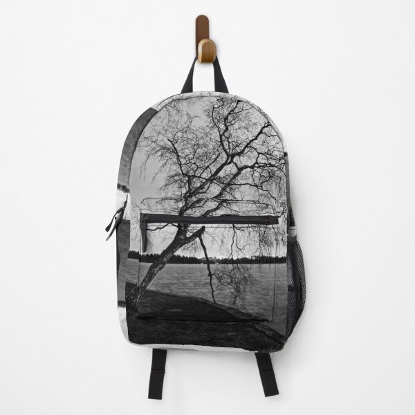 Item preview, Birch. Late November at Arboretum bw designed and sold by Jouko Lehto Photography.