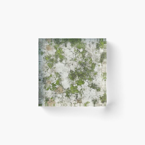 Item preview, Textured surface with green moss and cracks designed and sold by brandway.