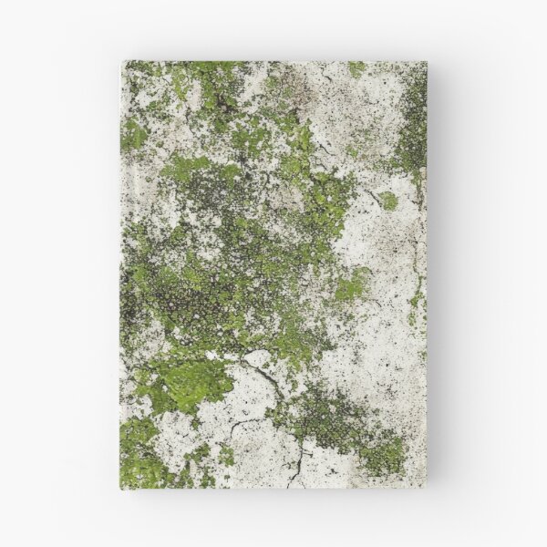 Item preview, Textured surface with green moss and cracks designed and sold by brandway.